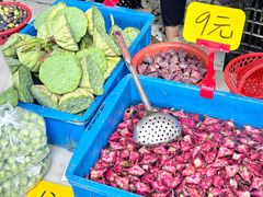 -葑门横街