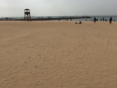 -八大关景区