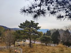 -北京西山国家森林公园