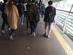 -望京西(地铁站)