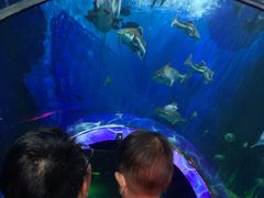 -宁波海洋世界-售票处