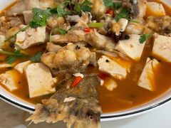 -煲来饱去冷水鱼