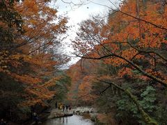 -光雾山十八月潭风景区-售票处
