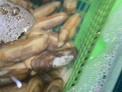 -和源祥·日照菜扛把子(万平口一店)