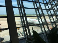-上海浦东国际机场-T2航站楼