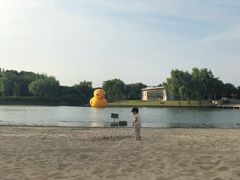 -上海佘山世茂艾美酒店