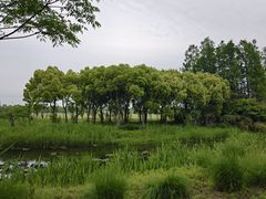-嘉北郊野公园