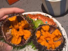 -小乔回转寿司(市府恒隆广场店)