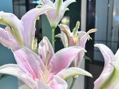 -南堂馆·新川菜(春熙路店)