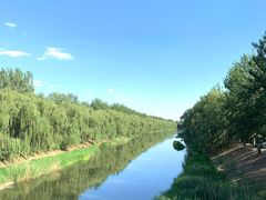-东郊湿地公园