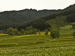 -鹞子沟国家森林公园