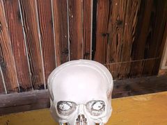 -长藤鬼校(龙翔店)