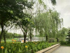 -映月湖公园
