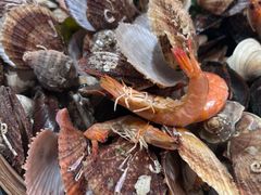 -船梆煮•蒸汽海鲜·炉火烤肉(五四广场店)