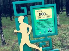 -宜兴龙背山森林公园