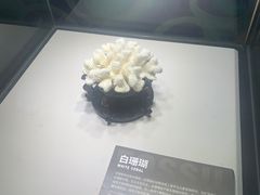-重庆欢乐海底世界