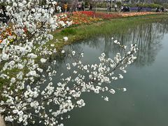 -圩墩遗址公园