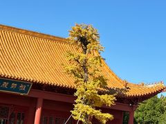-香山寺