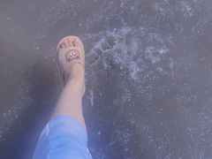 -南汇新城海滩