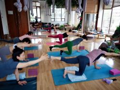 -花间禅净·瑜伽