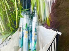-Green Option(官舍店)