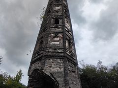 -上海佘山国家森林公园天马山园