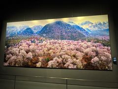 -罗红摄影艺术馆