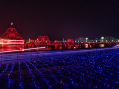 -星海广场