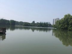 -青枫公园