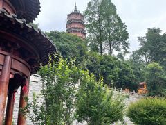 -宝通禅寺