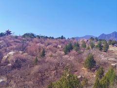 -白水寺森林公园