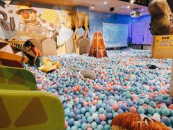 -卡通尼·Safari非洲探索乐园·生日会(金桥国际商业广场店)