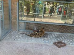 -西霞口神雕山野生动物世界