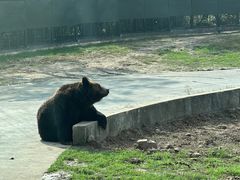 -上海野生动物园
