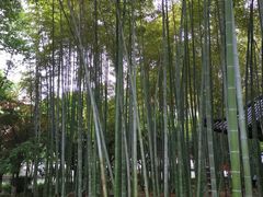 -绳金塔