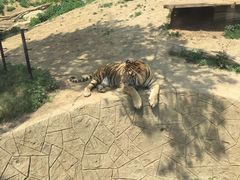 -大连森林动物园