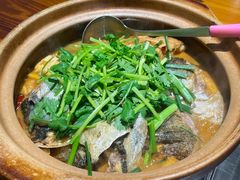 -九道菜有鸡鱼头(石鼓路店)