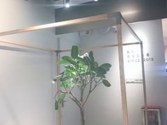 -喜茶(广州天汇igc店)
