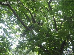 秦岭-西安秦岭野生动物园