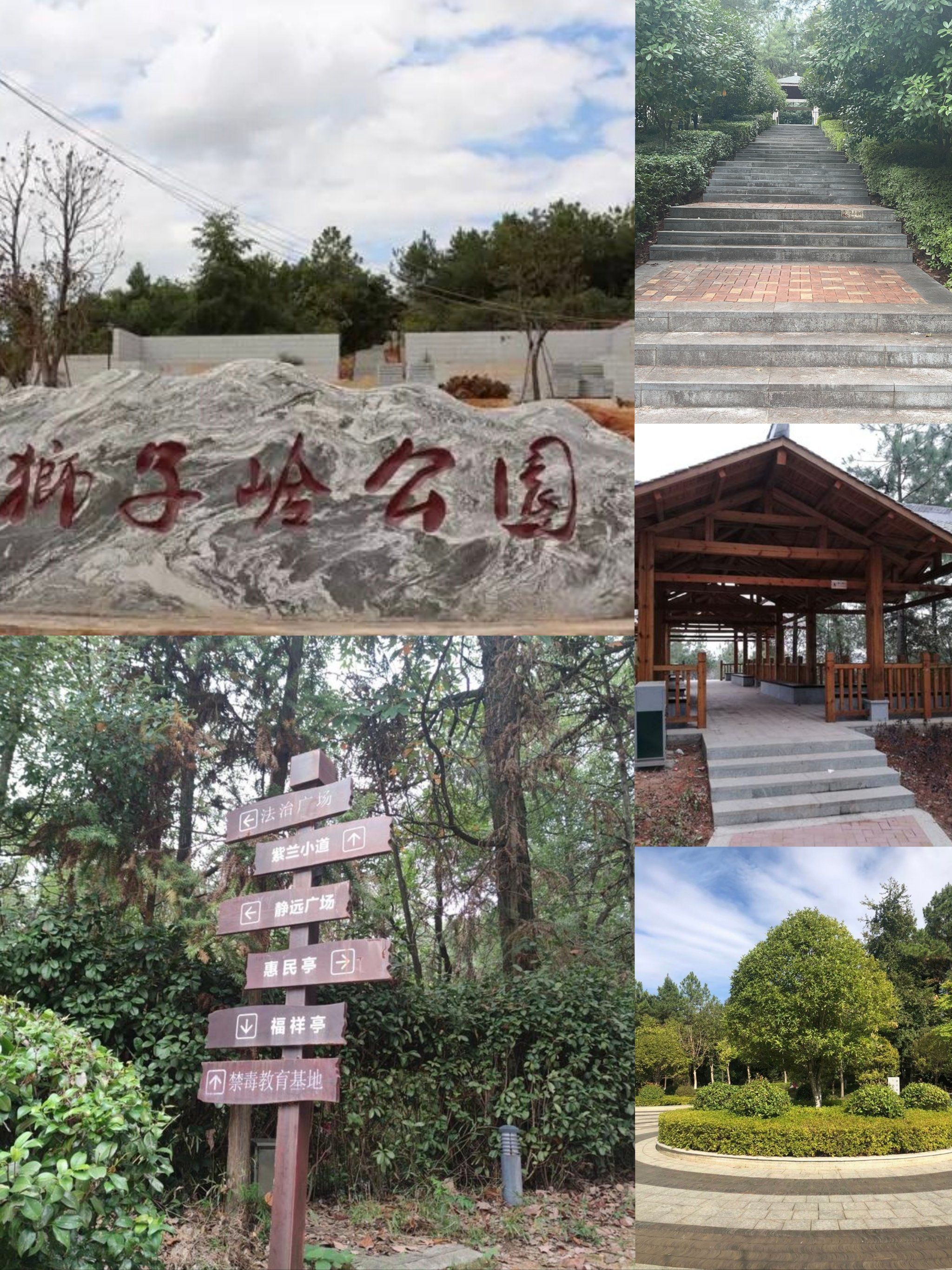 我在高安狮子岭公园,把快乐玩成了"花"样