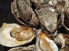 -土蚝·高压锅生蚝(百姓美食街店)