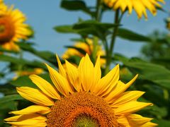 -奥林匹克森林公园北园-停车场