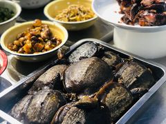 -龙小海荆沙鸽子店(瑞安街店)