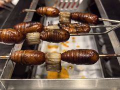 -鼎原力量东北吊炉烧烤(临河街店)