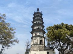 -苏州上方山国家森林公园