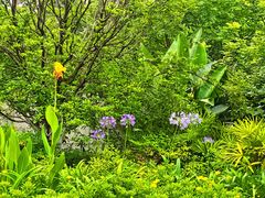 -重百超市(鲁能星城店)