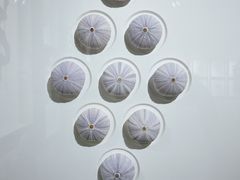 -太二酸菜鱼(财富购物中心店)