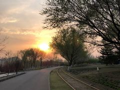 -永定河休闲森林公园