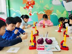 -斯坦星球AI编程·机器人科创·科学实验·信奥·思维·STEM·积木拼搭·竞赛考级(浦东联洋广场大拇指龙阳御桥中心)