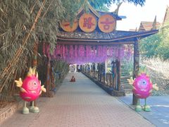 -呀路古热带植物园